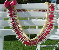 Color Ginger Lei