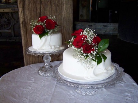 900x900px-LL-10729ad1_modulescopperminealbumsuserpics75088two_tier_wedding_cake[1]