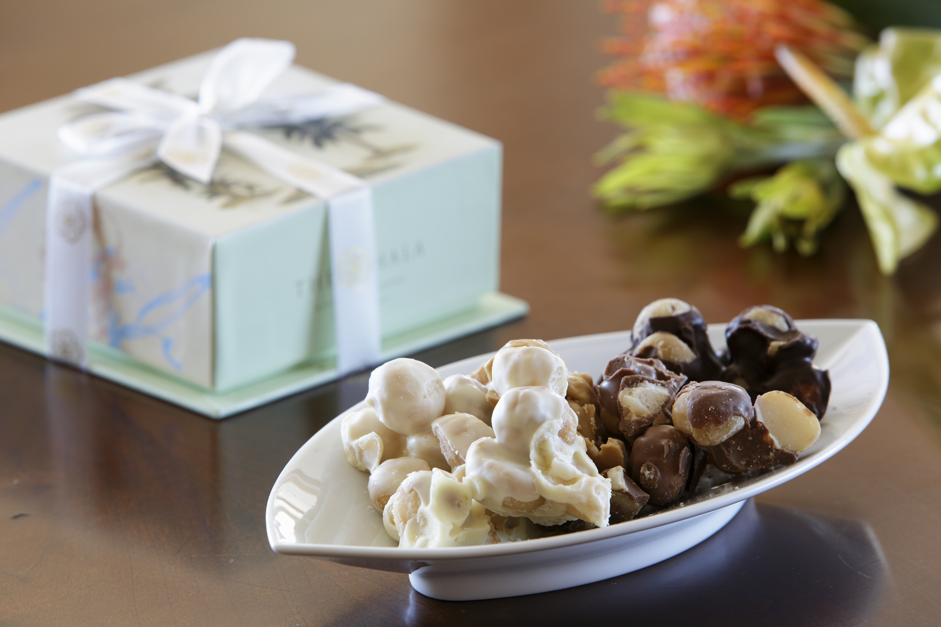 mac-nuts_H0A3260.jpg